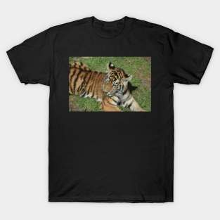 Tiger Cub T-Shirt